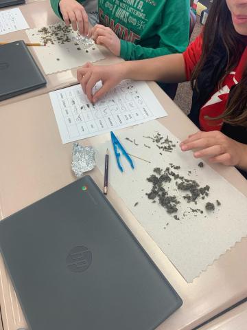 Fifth Graders Dissecting Owl Pellets to learn about food chains.