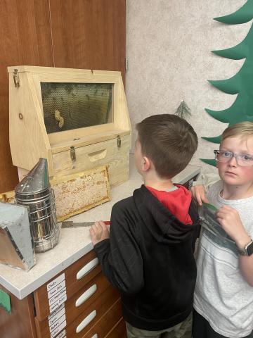 Second grade learning about honey bees.