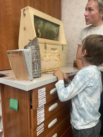 Second grade learning about honey bees.